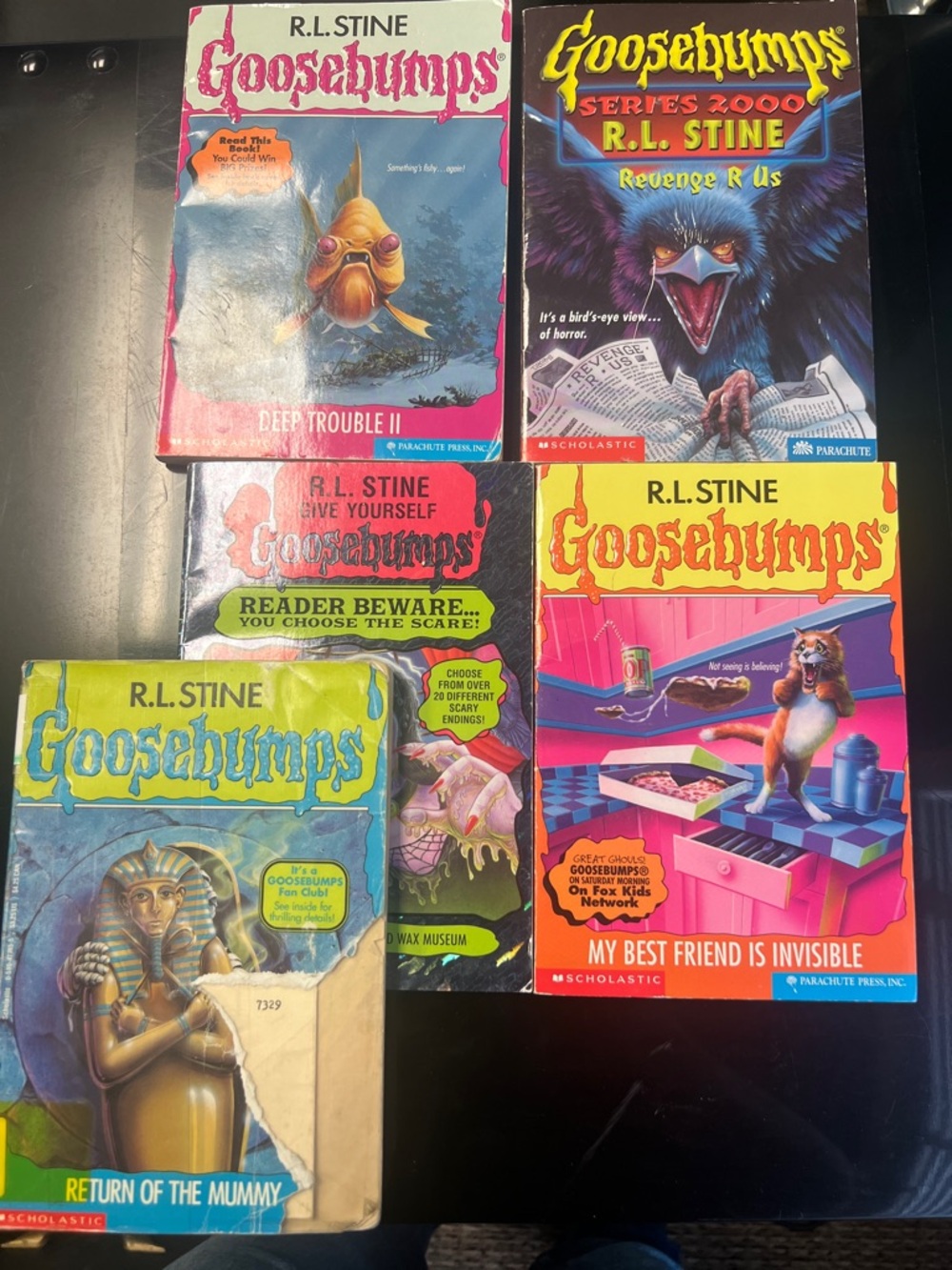 Goosebumps Book Lot by R.L. Stine - double trouble